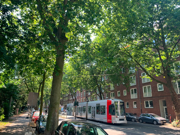 Schlüsseldienst Düsseltal Tresoröffnung